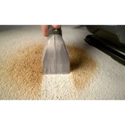 Staubsauger|Die moderne Hausfrau Livington Waschsauger 