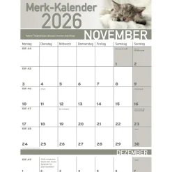 Wand- & Taschenkalender|Die moderne Hausfrau Merkkalender 2026 „Katzenbabies“