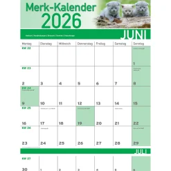 Wand- & Taschenkalender|Die moderne Hausfrau Merkkalender 2026 „Katzenbabies“