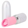Die moderne Hausfrau Mini-Vibrator „Lippenstift“