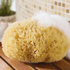 Die moderne Hausfrau Naturschwamm