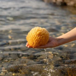 Die moderne Hausfrau Naturschwamm