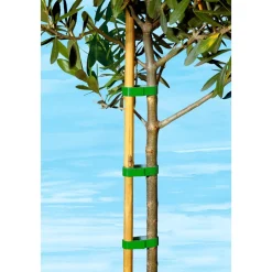 Gewächshäuser & Aufzuchthilfen|Die moderne Hausfrau Pflanzband, 5 m