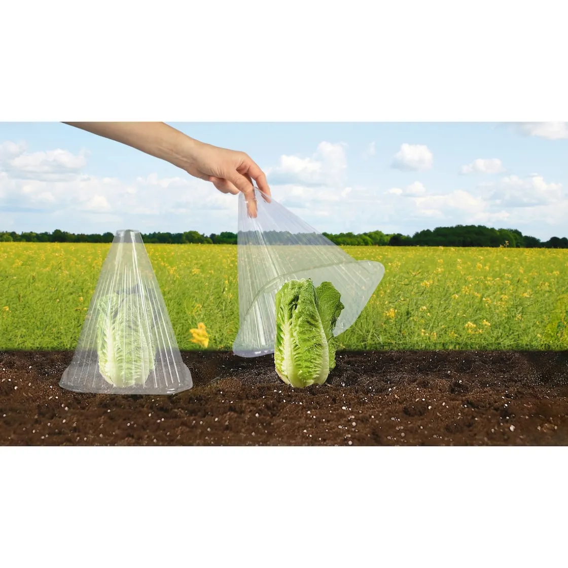 Gewächshäuser & Aufzuchthilfen|Die moderne Hausfrau Pflanzenhut, 10 Stück