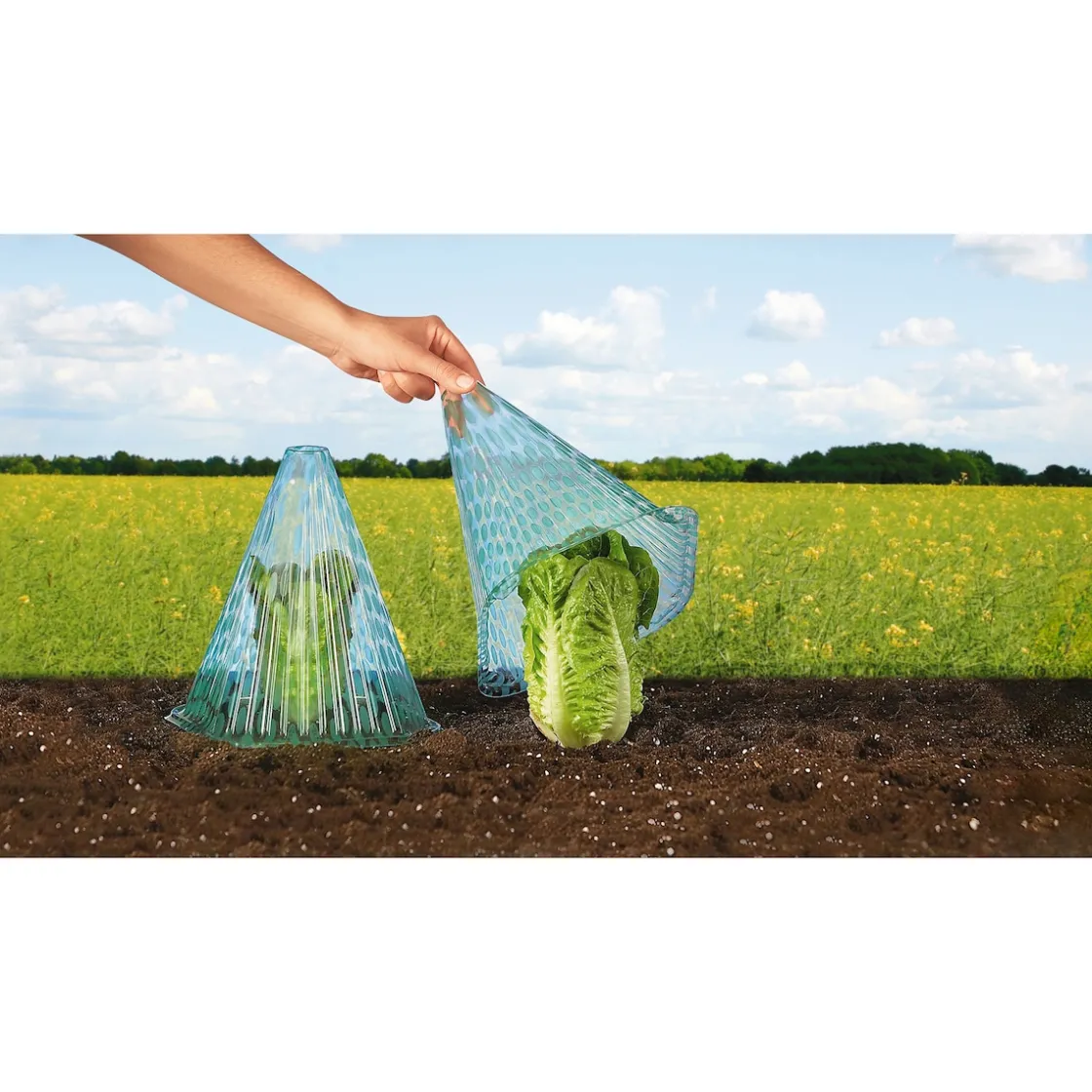 Gewächshäuser & Aufzuchthilfen|Die moderne Hausfrau Pflanzhaube, 10 Stück