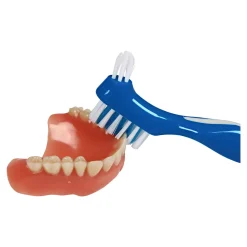 Zahnpflegeprodukte·Gebiss- & Zahnreiniger|Die moderne Hausfrau Prothesen-Reinigungs-Set, 3-teilig