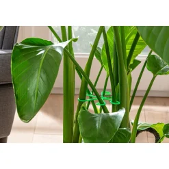 Gewächshäuser & Aufzuchthilfen|Die moderne Hausfrau Rankhilfe, 8 Stück