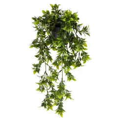 Kunstpflanzen|Die moderne Hausfrau Rankpflanze