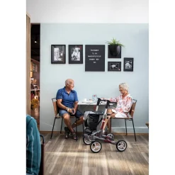Rollatoren|Die moderne Hausfrau Rollator Troja 5G M, faltbar, höhenverstellbar rot
