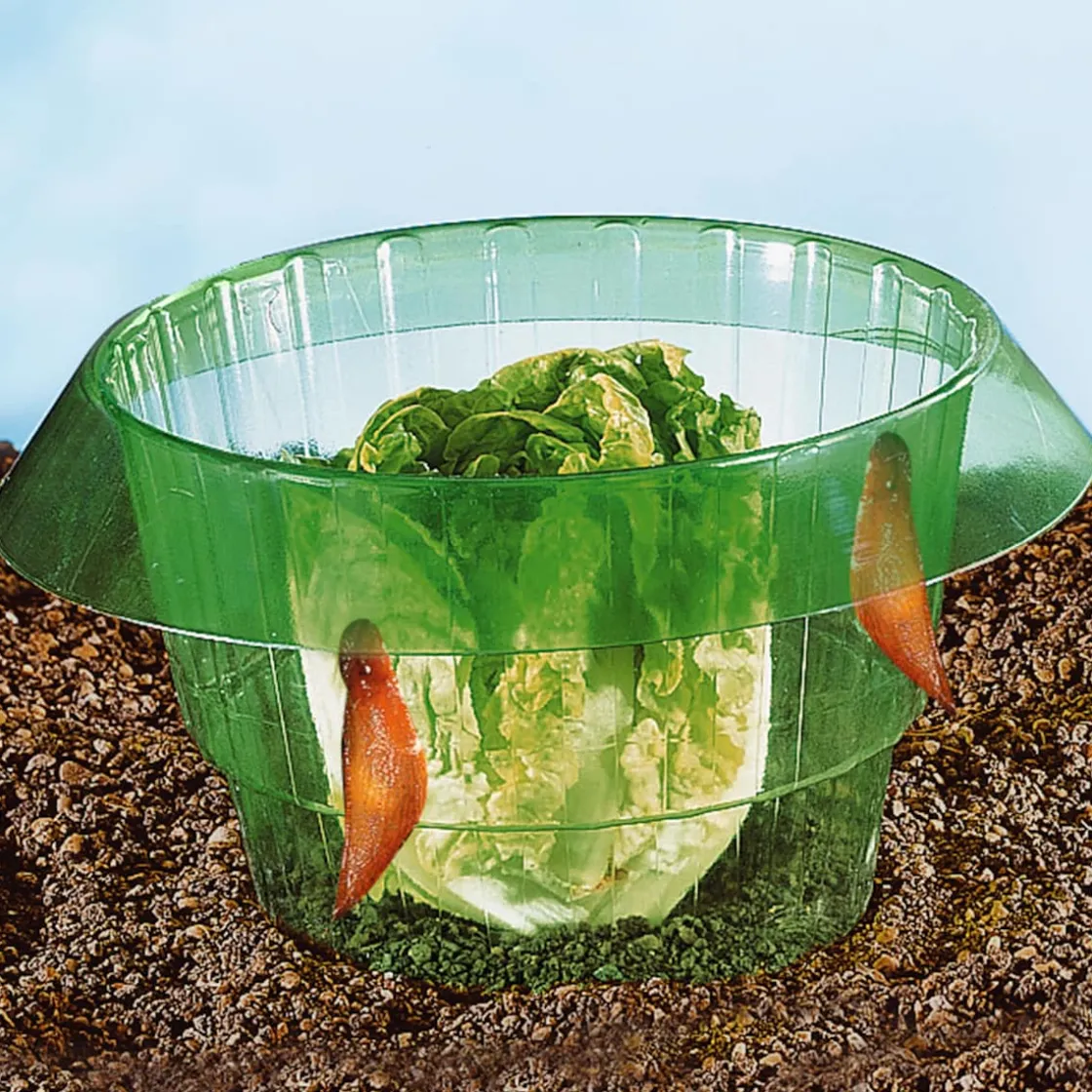 Tierabwehr Garten|Die moderne Hausfrau Salatringe, 5 Stück