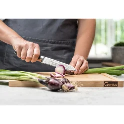 Koch- & Küchenmesser|Die moderne Hausfrau Santoku-Messer-Set, 2-teilig