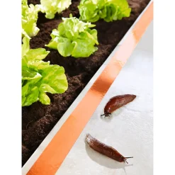 Die moderne Hausfrau Schneckenstopp-Band, 4,5 m