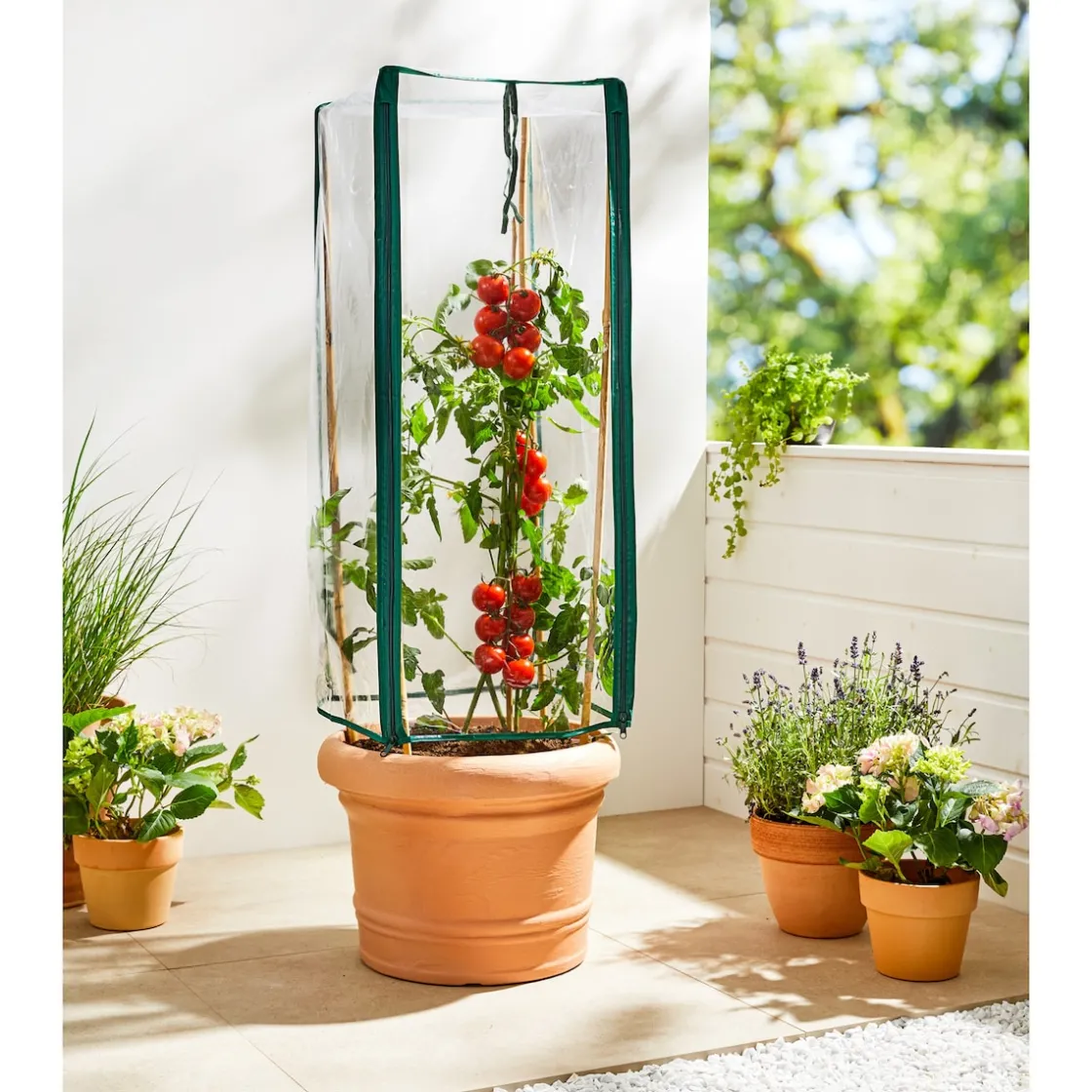 Winterschutz Für Pflanzen|Die moderne Hausfrau Schutzhaube für XXL-Pflanzturm Einfach