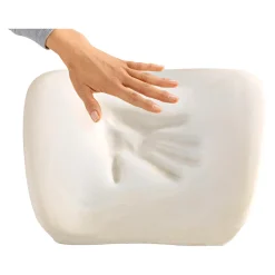 Die moderne Hausfrau Sitz- und Lendenkissen 