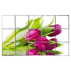 Spritzschutz|Spritzschutz|Die moderne Hausfrau Spritzschutz-Folie „Tulpen“