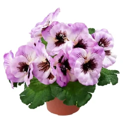 Kunstpflanzen|Die moderne Hausfrau Stiefmütterchen helllila