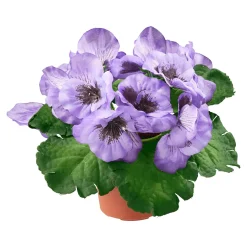 Kunstpflanzen|Die moderne Hausfrau Stiefmütterchen lila