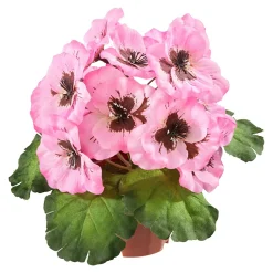 Kunstpflanzen|Die moderne Hausfrau Stiefmütterchen rosa