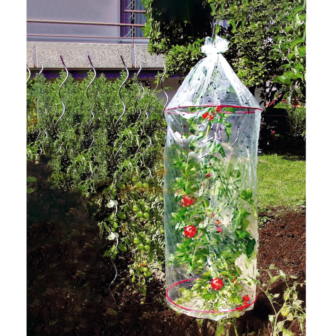 Gewächshäuser & Aufzuchthilfen|Die moderne Hausfrau Tomaten-Schutzhaube, 3 Stück