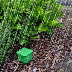 Tierabwehr Garten|Die moderne Hausfrau Verdufter, 300 g Katze