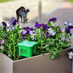 Die moderne Hausfrau Verdufter, 300 g Katze