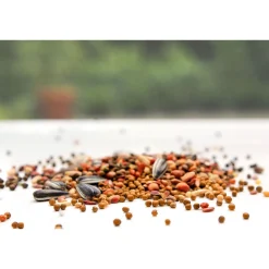 Vogelbedarf|Die moderne Hausfrau Vogelfutter, 1 kg