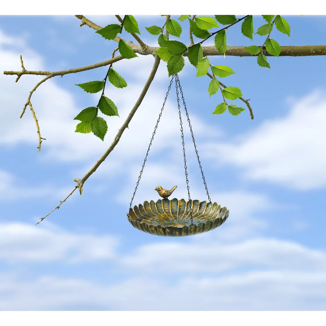 Vogelbedarf|Die moderne Hausfrau Vogeltränke "Golden"