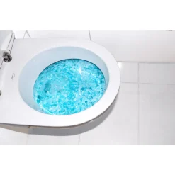 Die moderne Hausfrau WC Zauberschaum, 1 kg