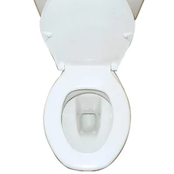 Die moderne Hausfrau WC-Tabs, 300 g