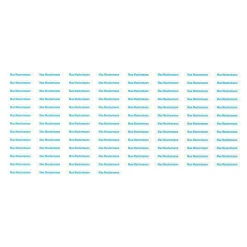 Wäschenetze & -Etiketten|Die moderne Hausfrau Wäscheetiketten, 100 Stück blau