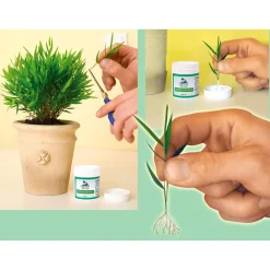 Pflanzenshop|Die moderne Hausfrau Wurzeltreibfix, 30 g