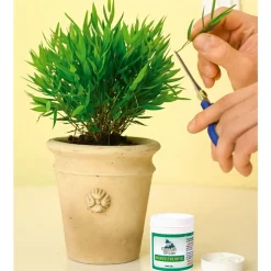 Pflanzenshop|Die moderne Hausfrau Wurzeltreibfix, 30 g